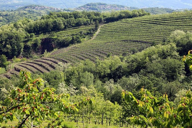 Secret Vineyards E-Bike Tour - Price and Booking