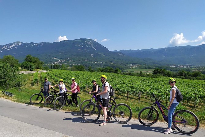 Secret Vineyards E-Bike Tour - Vegetarian Options