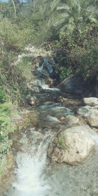 Secret Waterfall Trek - An In-Depth Look at the Secret Waterfall Trek