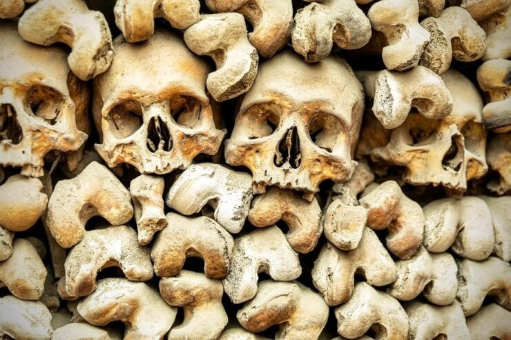 Secrets Beneath Rome: Capuchin Crypt and Catacombs Tour - Highlights of the Experience