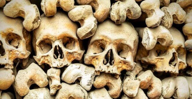 Secrets Beneath Rome: Capuchin Crypt and Catacombs Tour - Transportation Details