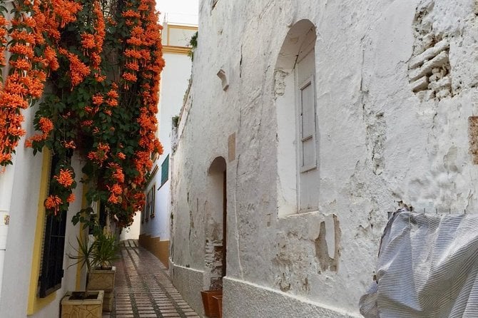 Secrets of Marbella Guided Walking Tour - The Sum Up
