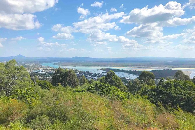 Secrets of Noosa Tour With Oceanview Lunch, Nature & Noosa River Ferry - Reviews Overview