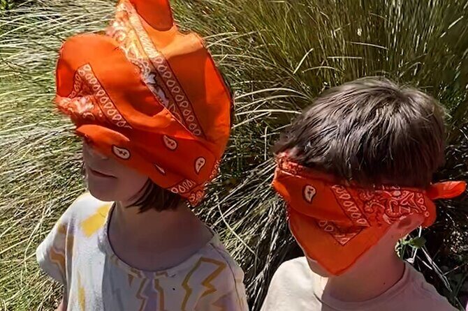 Secrets of the Forest Outdoor Escape Room Experience - How the Experience Unfolds