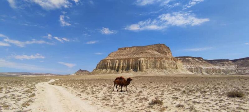 Secrets of the Ustyurt Plateau: 7-Day Jeep Expedition - FAQ