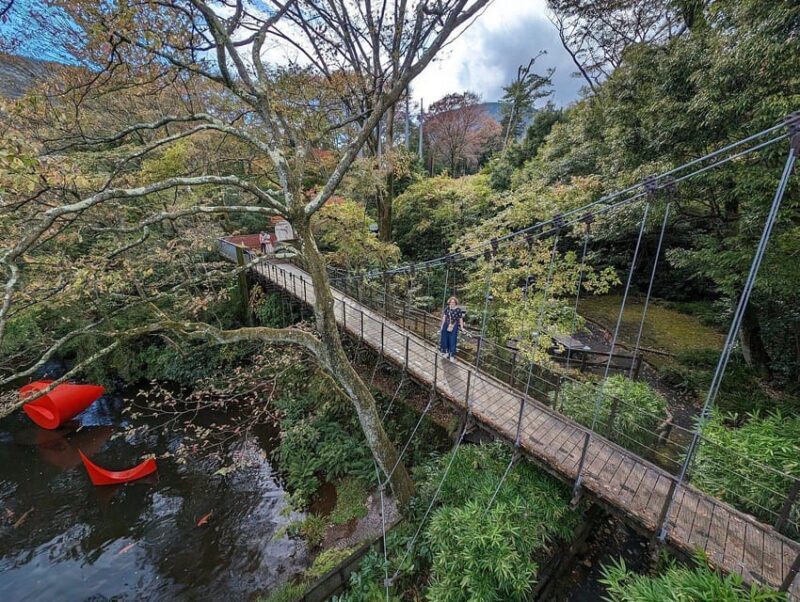 Secrets of Tokyo: Expert-Led Private Tour - Who Should Consider This Tour?  