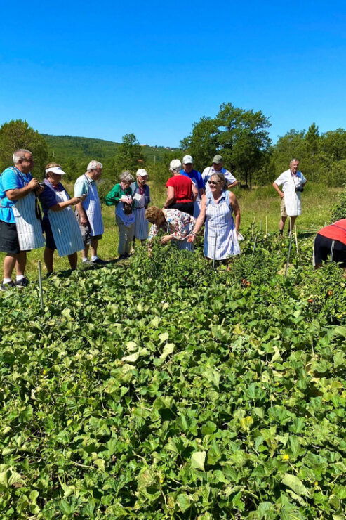 Secrets of Traditional Dalmatian Cuisine With Cooking Class - Overview of Dalmatian Cuisine