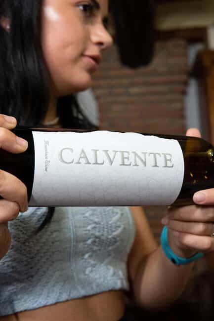 Secrets of Wine: Immersion in the Winery and Professional Tasting - An Authentic Spanish Wine Journey in Andalusia