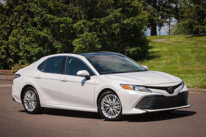 Sedan Private Punta Cana Airport Transfer to Hotels in Dominican Republic - Pricing and Booking Process