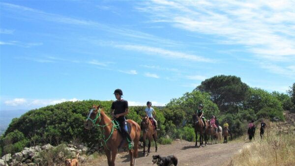 Sedini: Horseback Riding for Children Near Castelsardo - The Sum Up