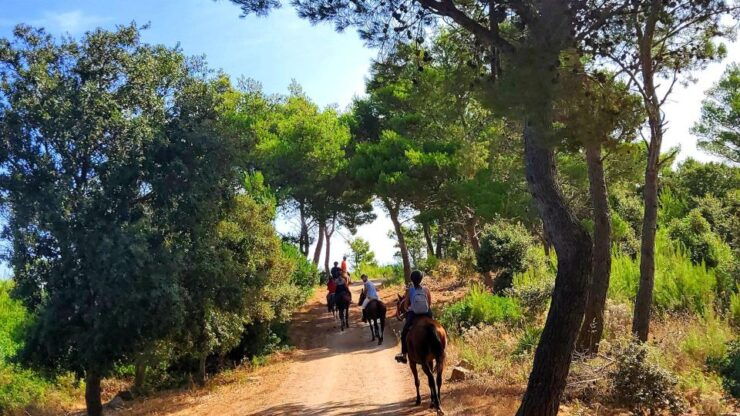 Sedini: Horseback Riding in Castelsardo Area - Good To Know
