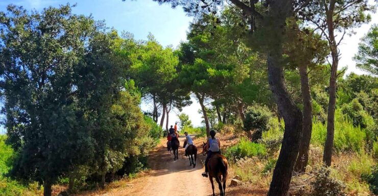 Sedini: Horseback Riding in Castelsardo Area - Activity Details