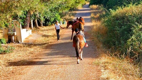 Sedini: Horseback Riding in Castelsardo Area - Important Information