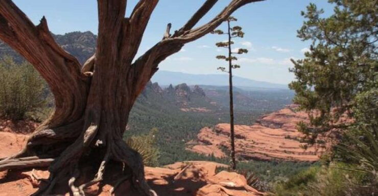 Sedona: 2-Hour Colorado Plateau Scenic Tour - Free Cancellation and Refund Policy