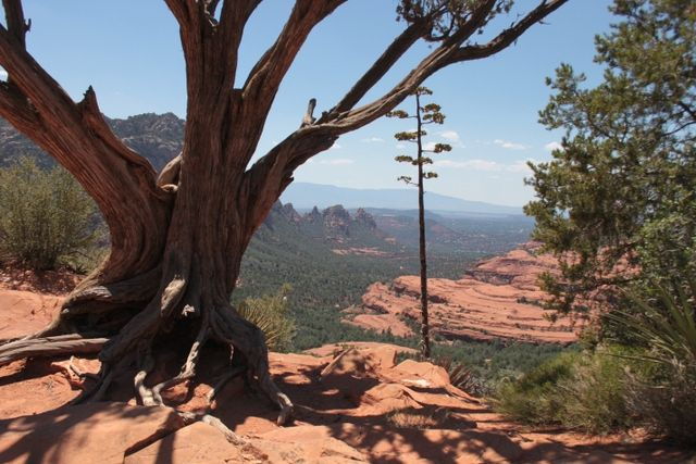 Sedona: 2-Hour Colorado Plateau Scenic Tour - The Magnificent Rim of the Colorado Plateau