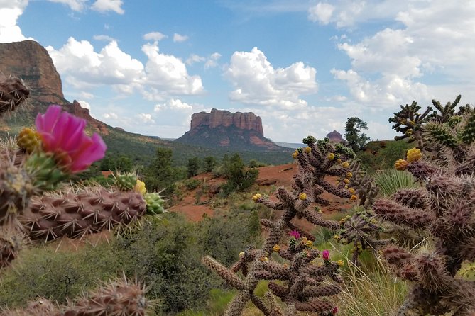Sedona and Grand Canyon Single Day Tour - Knowledgeable Tour Guides