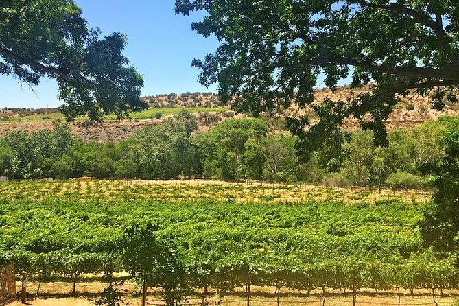 Sedona, Arizona: Winery Tour - What to Expect