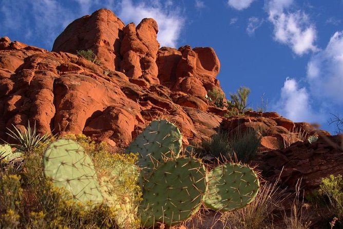 Sedona Outback Trail Jeep Adventure - Cancellation Policy
