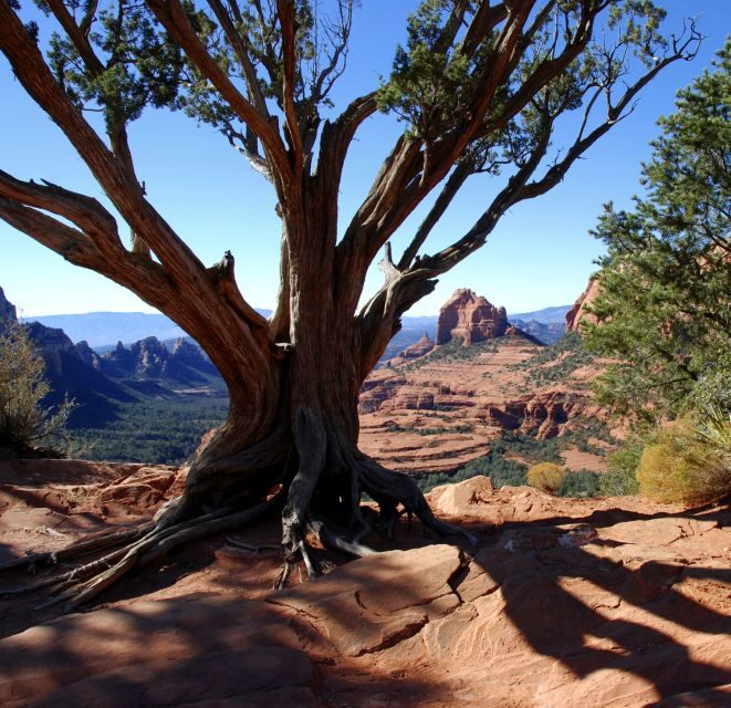 Sedona: PRIVATE 2-Hour Colorado Plateau Scenic Jeep Tour - Practical Tips for Travelers