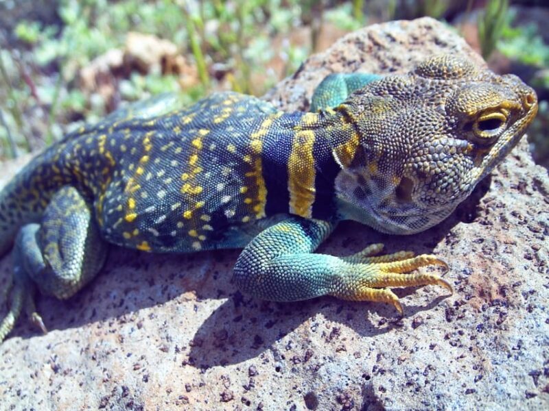 Sedona: PRIVATE Pavement 2-Hour Highlights Jeep Tour - Final Thoughts