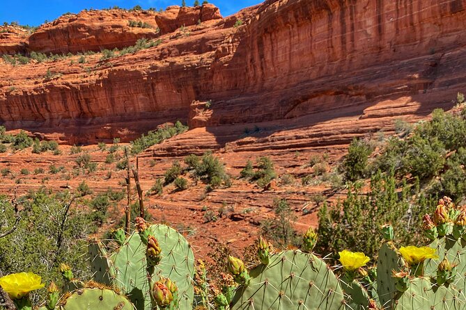 Sedona Sacred Canyons Loop Hike With a Private Guide - Common Questions