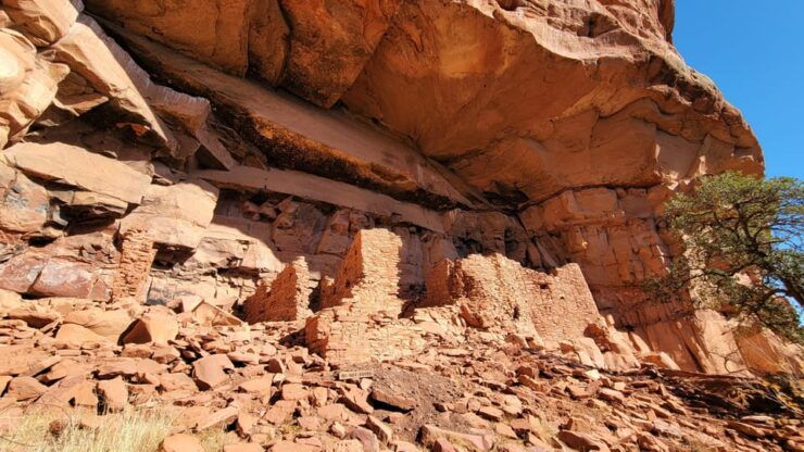 Sedona the Scientific and Spiritual Vortex Tour: Small Group - Itinerary Highlights