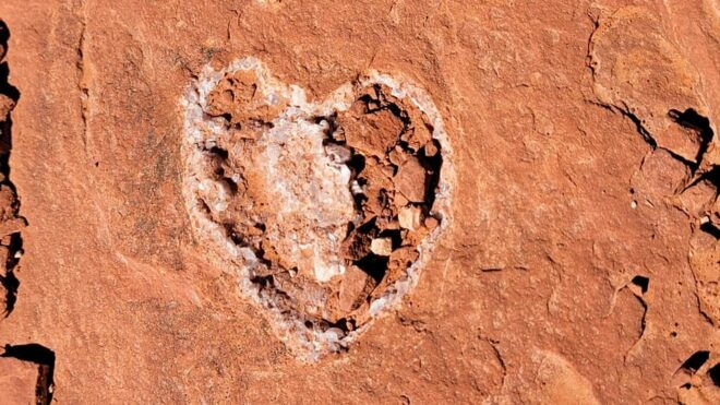 Sedona the Scientific and Spiritual Vortex Tour: Small Group - Exploring Sedonas Vortex