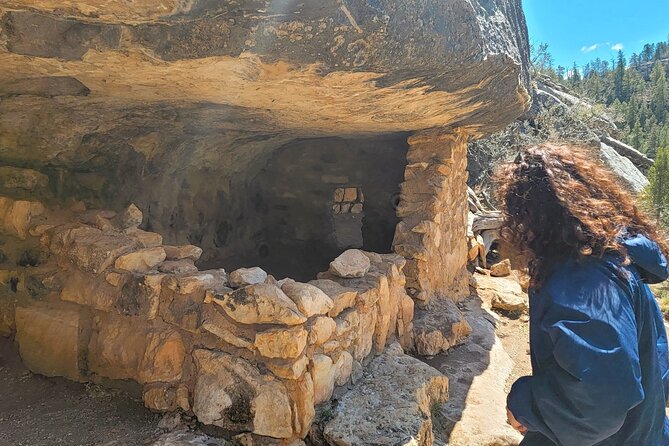 Sedona to Petrified Forest/Painted Desert Adventure PRIVATE TOUR! - Reviews and Ratings