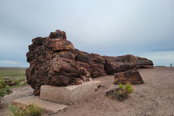 Sedona to Petrified Forest/Painted Desert Adventure PRIVATE TOUR! - Common Questions