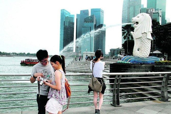 See 15 Top Singapore Sights Private Tour! - Gardens by the Bay