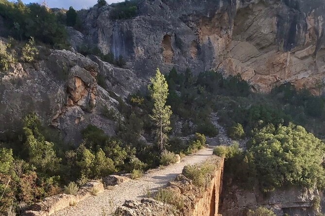 See a 2,000-Year-Old Roman Viaduct: Private Tour From Valencia - Common Questions