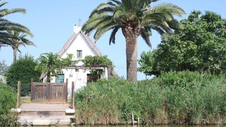 See Albufera Lake +City of Arts and Sciences on a Bike Tour - Good To Know