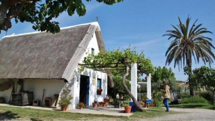 See Albufera Lake +City of Arts and Sciences on a Bike Tour - Tour Highlights