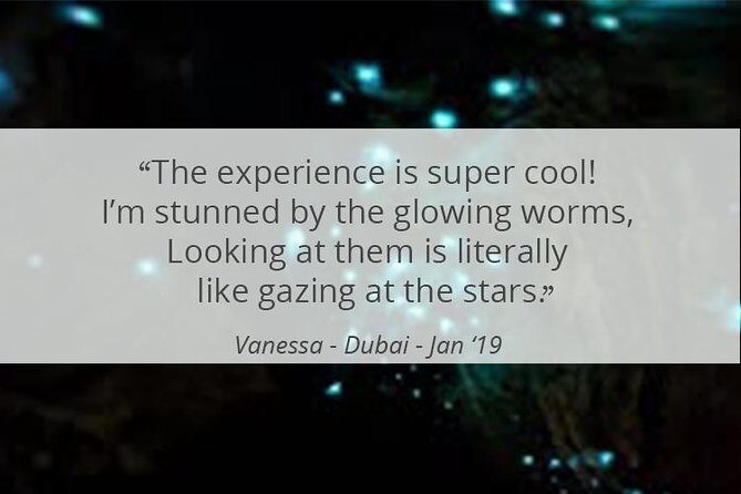 See Auckland's Secret Glow Worms - Authentic Insights from Reviews