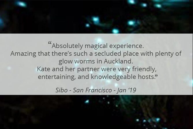 See Auckland's Secret Glow Worms - Practical Details and Tips