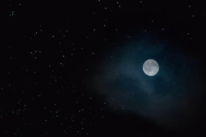 See Auckland's Secret Glow Worms - Who Is This Tour Best For?