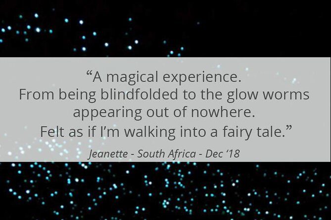 See Auckland's Secret Glow Worms - FAQ