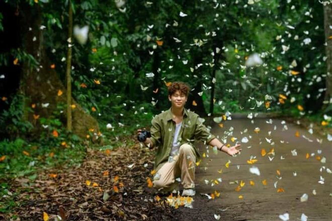 See Fireflies & Wild Animals in Cuc Phuong National Park - Evening Firefly Adventure