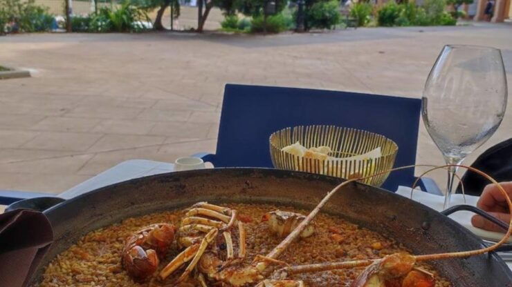 See Port Saplaya + City of Arts and Sciences on a Bike Tour - Tour Experience