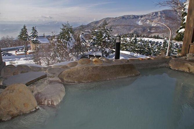 See Snow Monkeys on a Private Day Trip from Tokyo by Bullet Train - The Experience: A Deep Dive into the Day