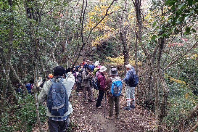 See Snow Monkeys on a Private Day Trip from Tokyo by Bullet Train - The Sum Up