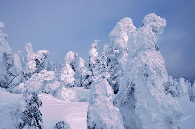 See Snow Monkeys on a Private Day Trip from Tokyo by Bullet Train - FAQs