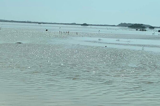 See the 5 Most Visited Points in Progress - What’s Included and How It Adds Value