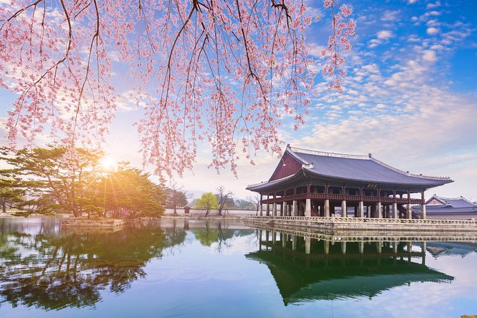 See the City Luxury to Grassroots - Comfortable Sightseeing Tours