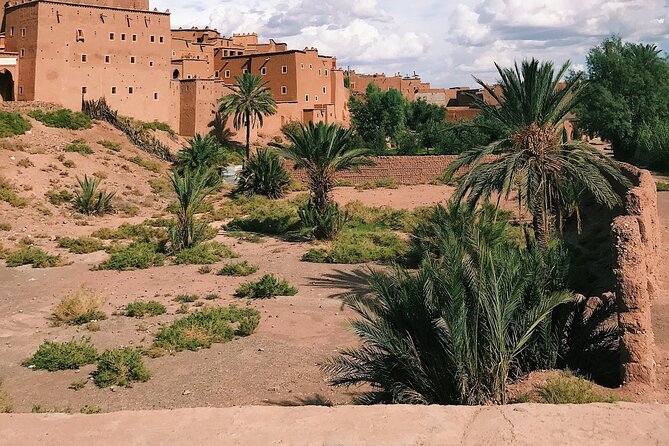 See The Magic Of Morocco In Five Days - Day 4: Discovering Essaouira