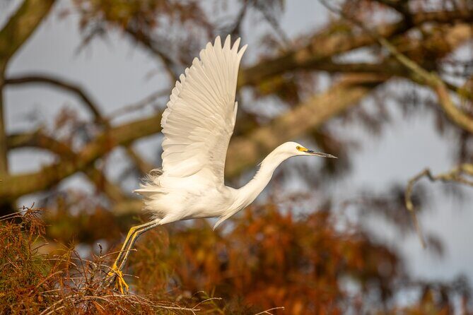 See the real Florida with a Private Nature and Wildlife Boat Tour - Good To Know