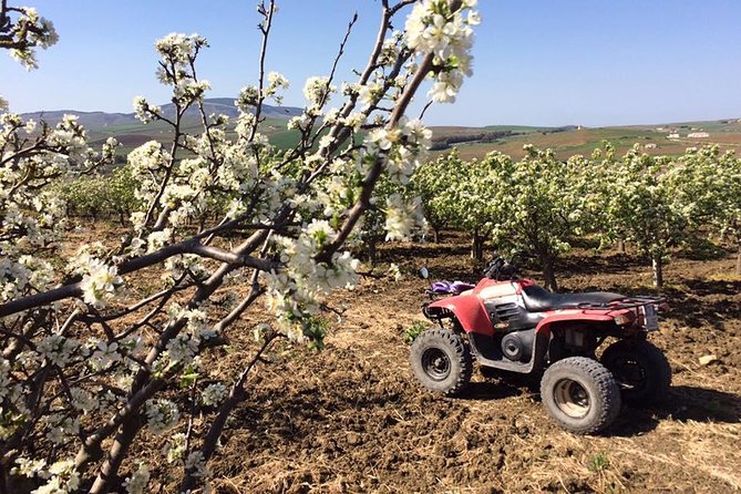 Segesta Quad Tour - Booking Process Details