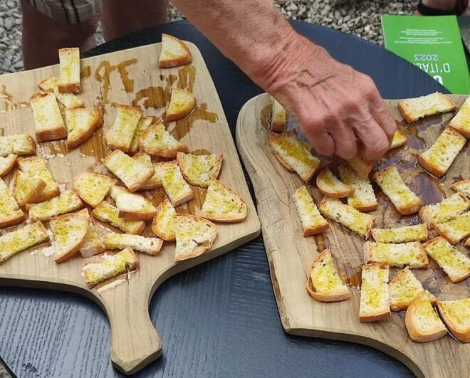 Seggiano: Extra Virgin Olive Oil Museum Visit and Tasting - Important Information