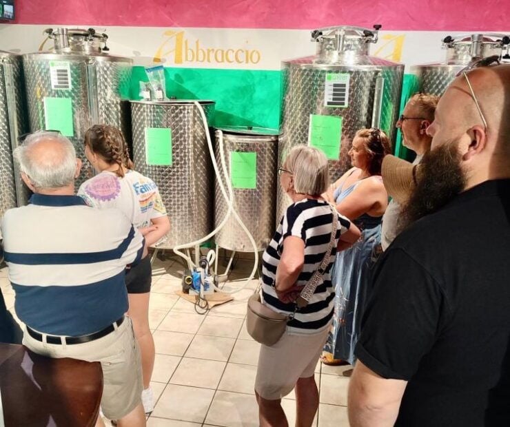 Seggiano: Guided Tour of the Olive Grove and Food Tasting - Experience Details