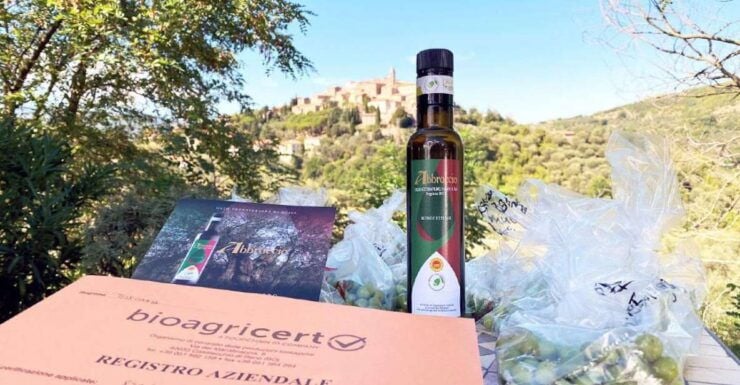 Seggiano: Guided Tour of the Olive Grove and Food Tasting - Highlights of the Tour